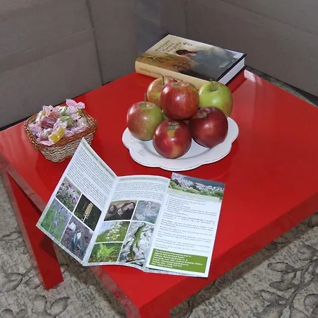Green View *